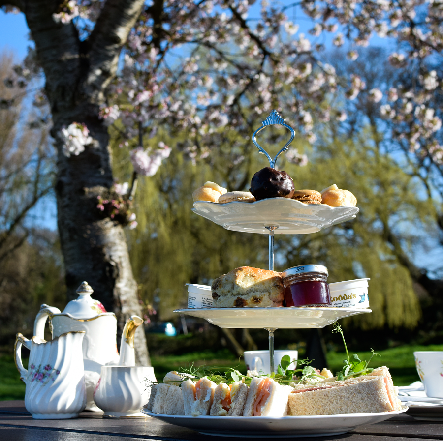 Vintage afternoon tea