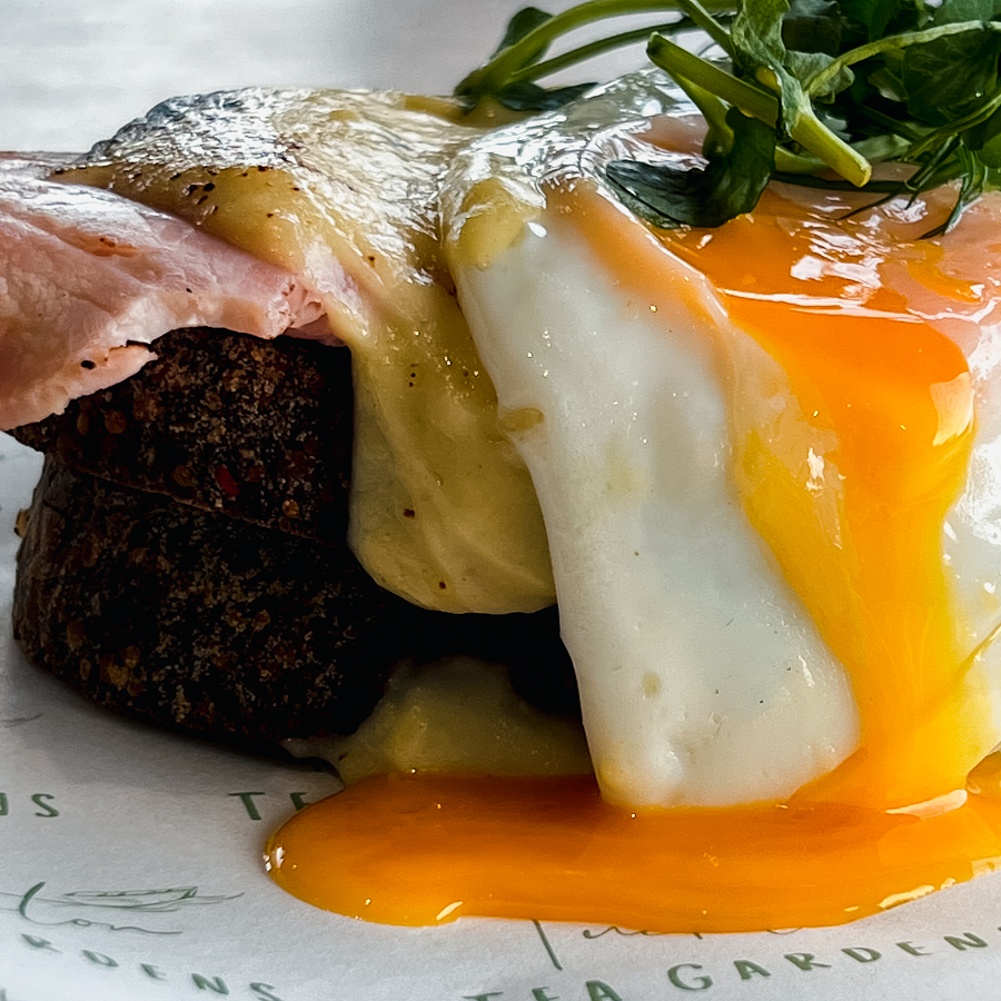 Paninis and light bites